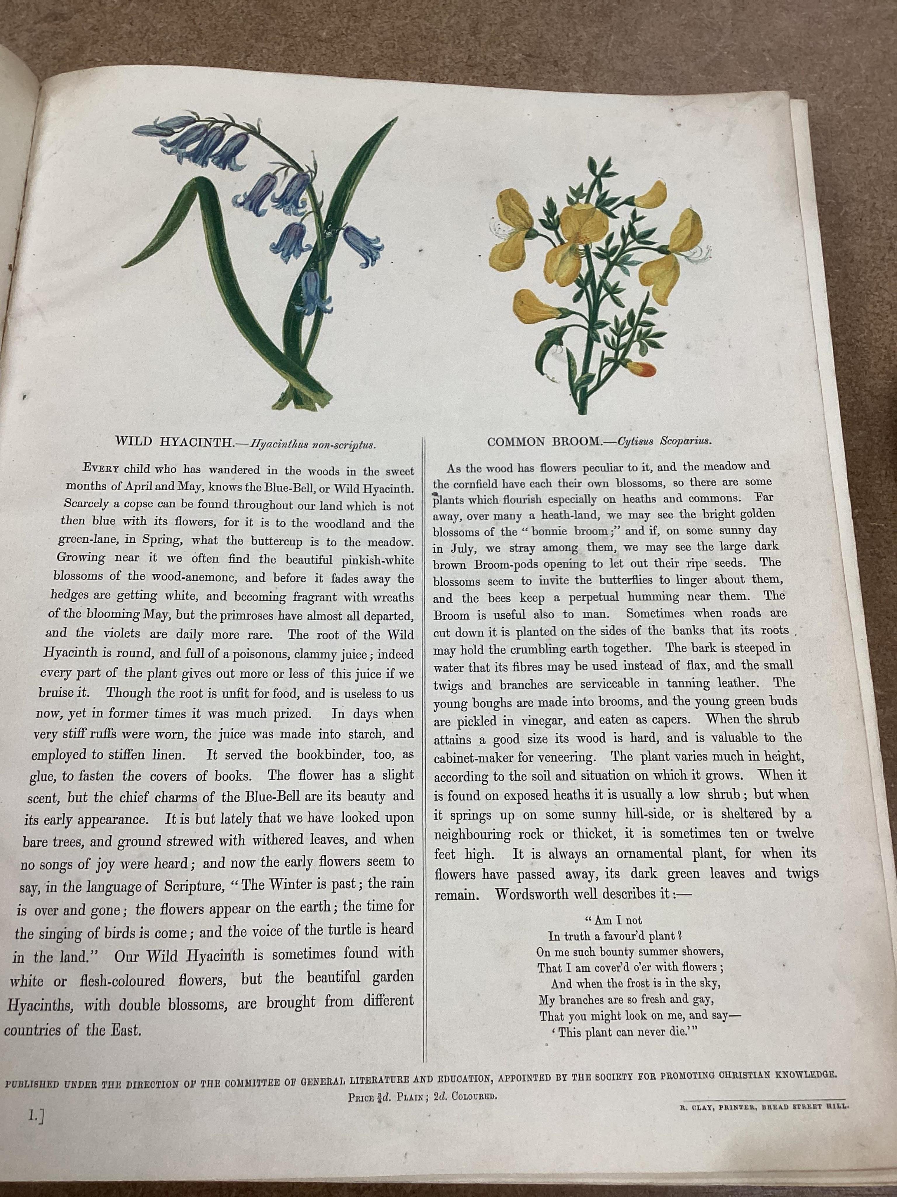 [BIBLE] The Holy Family Bible ... with concise explanatory notes ... by The Rev. Alexander Fortestcu. 3rd edition, 2 vols (in one). engraved plates, old mottled calf, panelled spine and red label, cover bosses and with c